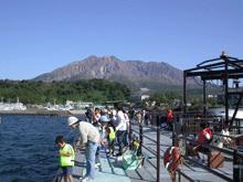 海 釣り 公園